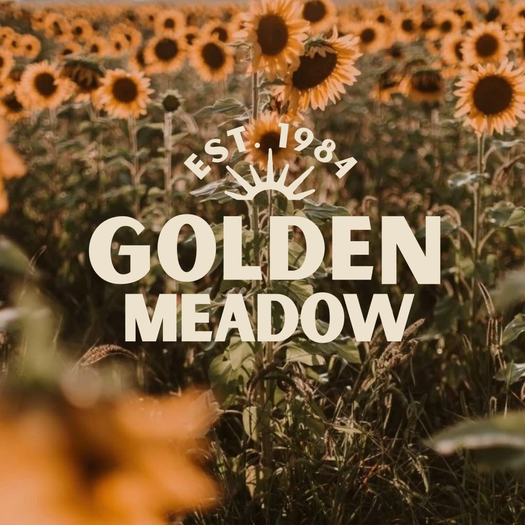 Golden meadow cover